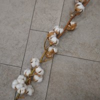 Цветы искусственные хлопок- сухоцвет
